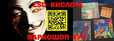 стаф Донской