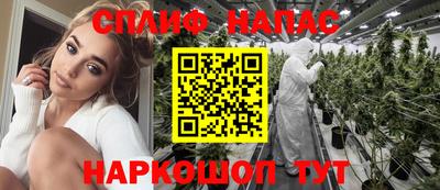 стаф Донской