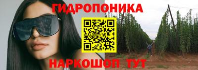 стаф Донской