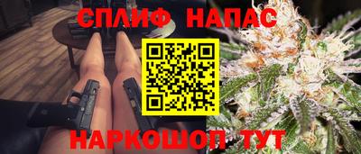 стаф Донской