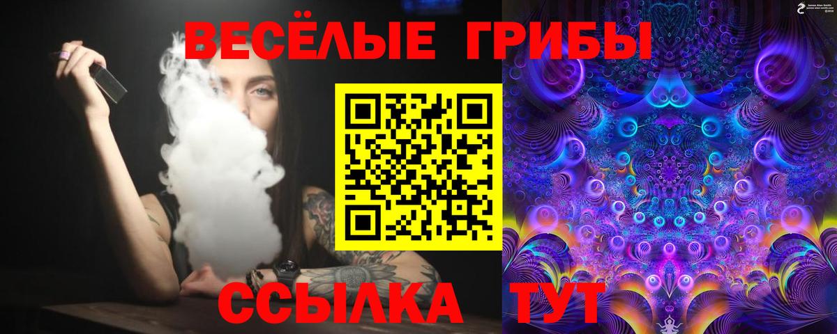 купить  цена  Галлюциногенные грибы прущие грибы  Вход с VPN  Нижнекамск 